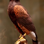 Bob-July-JWWA-009.jpg